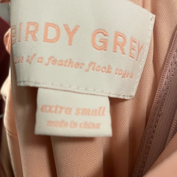 Birdy Grey Jane Dress in Rose Quartz - Picture 6 of 6